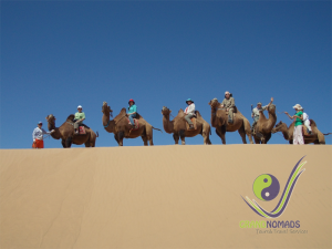 Happy camel riders