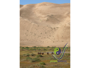Camel riding in Khongor Sand Dunes