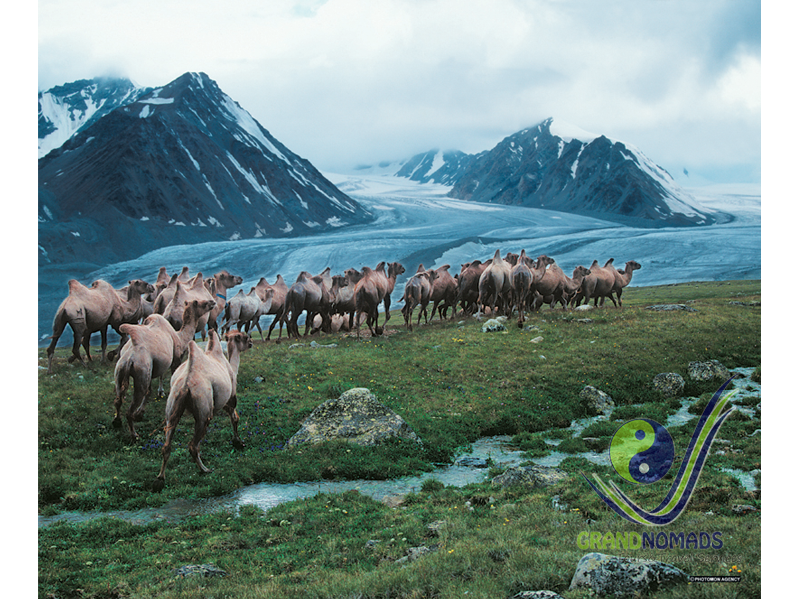 Altai Tavan Bogd National Park